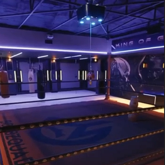 Deontay Wilder Home Gym